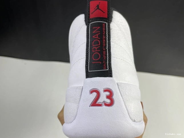 CT8013-106 Twist Jordan Air 12 0717